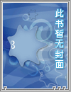 新金瓶梅